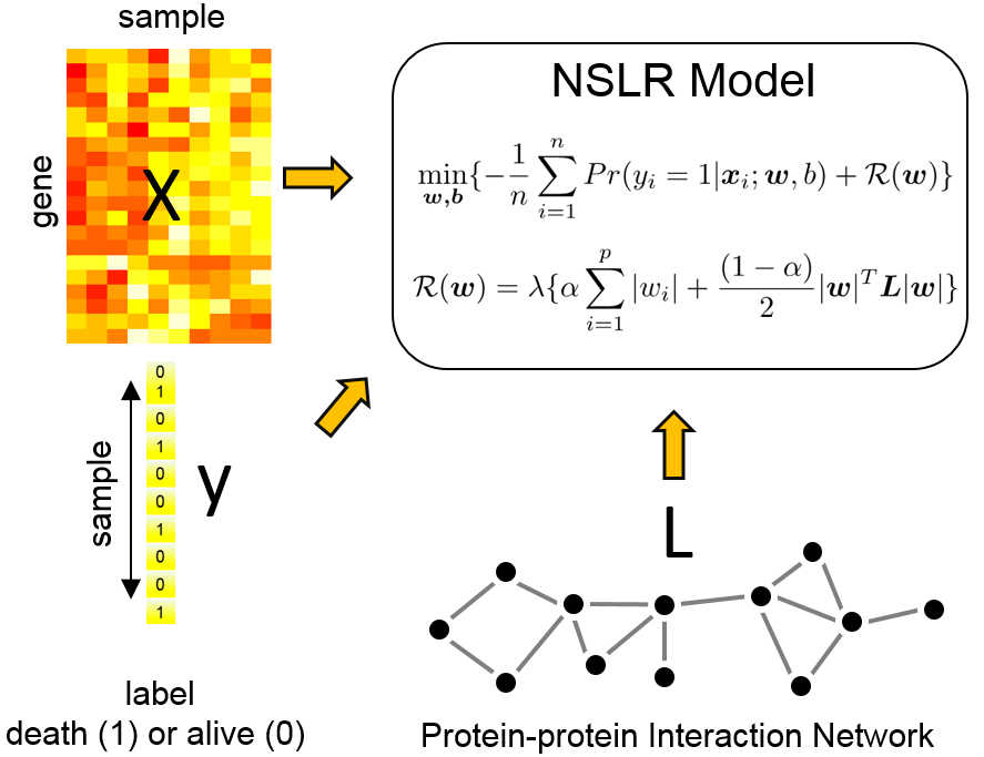 NSLR